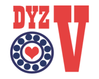 DSYZ-V